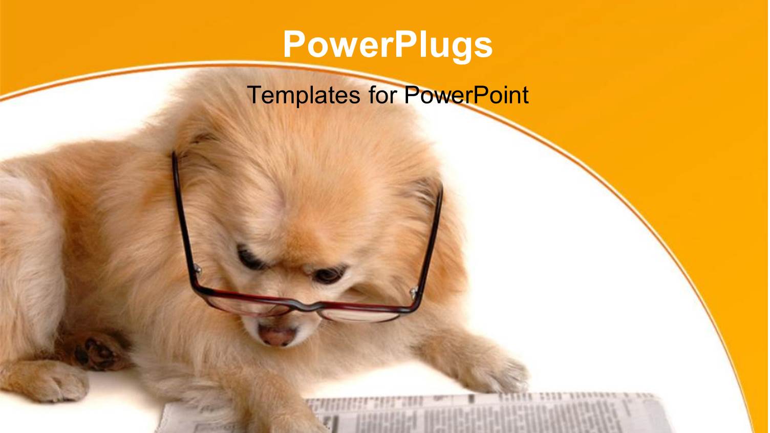 Hairy Dog with Eye Glasses Reading Pages of Newspaper