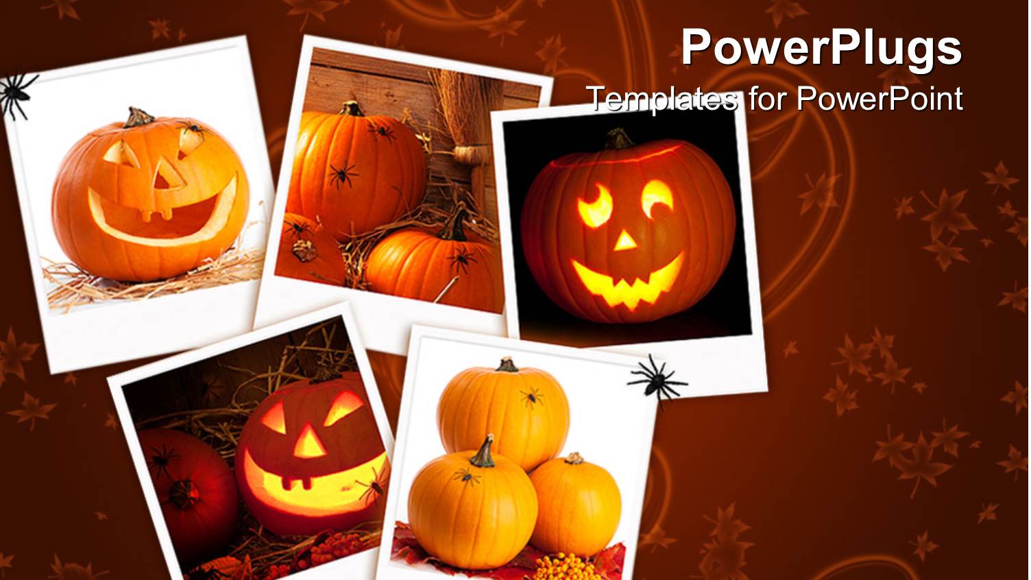 Halloween Collage with Pumpkins, Jack O Lanterns, Spiders, Orange Fall Leaf Background