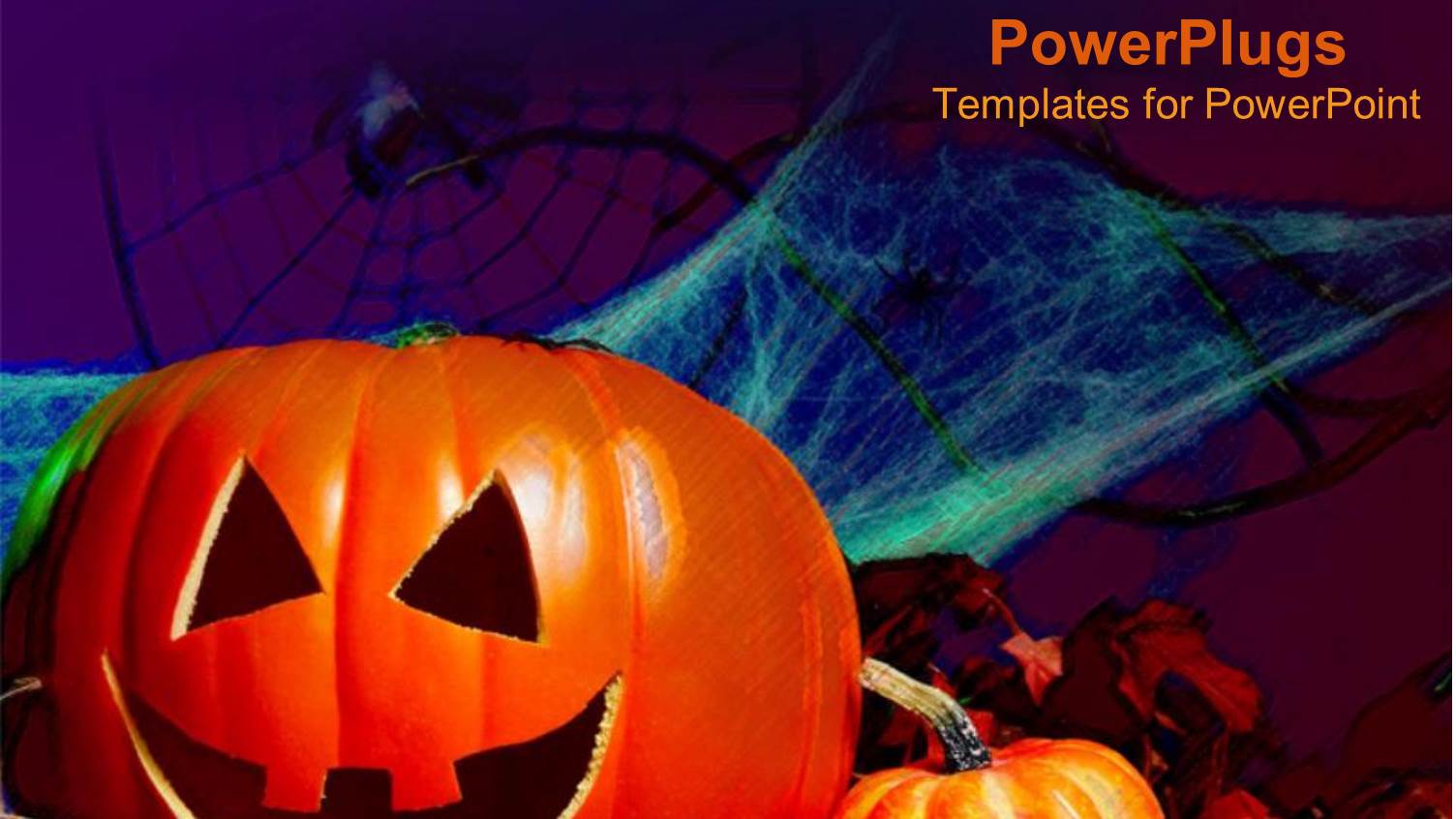 Halloween Decorations Pumpkin Bat Spider Webs Spooky Scary Trick or Treat