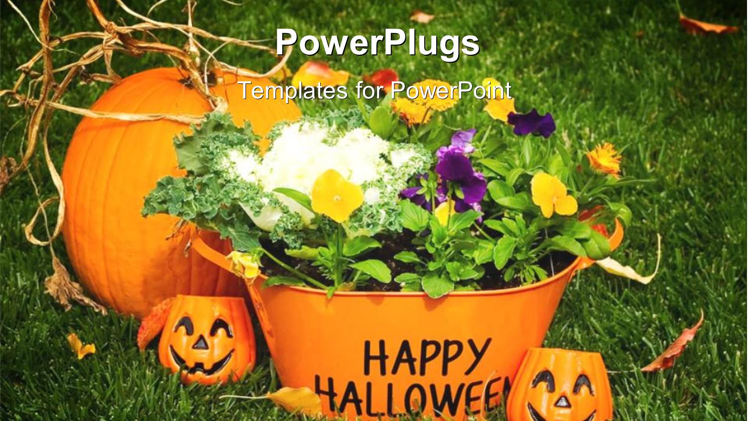 Halloween Time with Carved Pumpkins and Basket Filled with Flowers