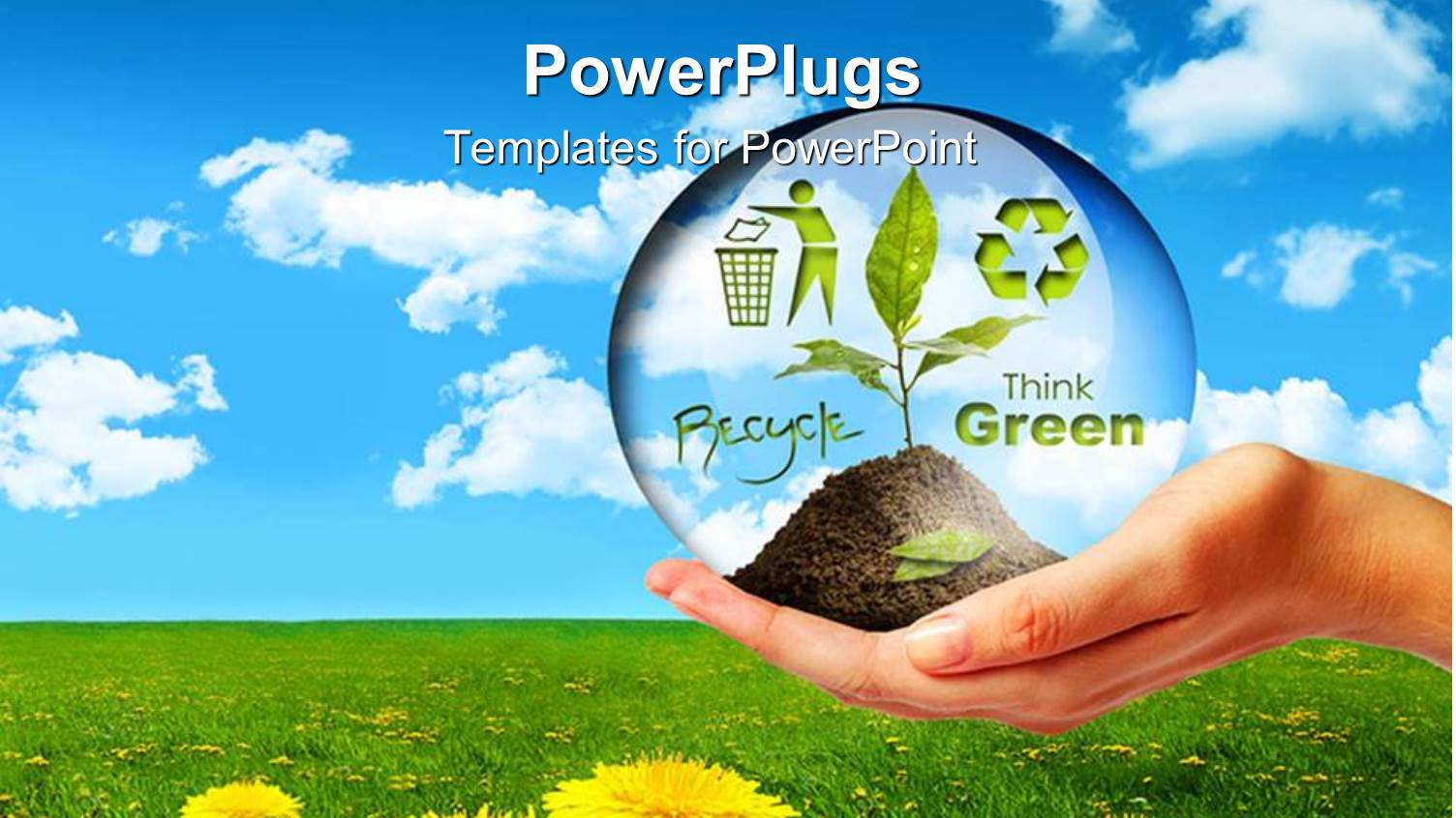 a Hand Holding a Plant with Flowers in the Background