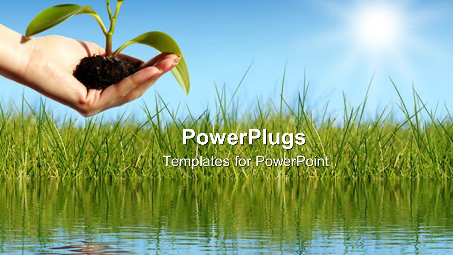 Hand Holding Young Plant Over Water with Grass and Sunny Blue Sky Background