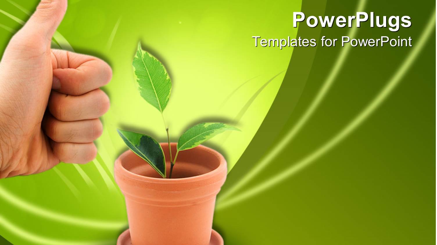 Hand with Thumbs Up at Clay Vase with Green Plant Sprouting