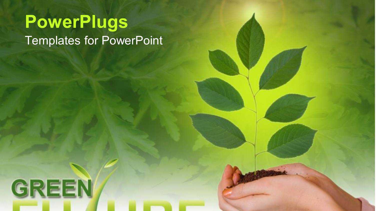 Hands Holding Young Plant, Green Future