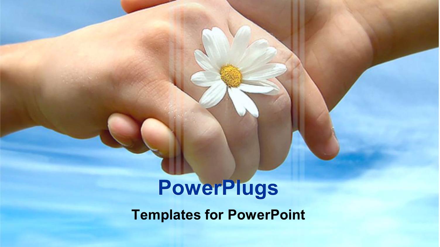 Hands Shaking with White Daisy, Blue Sky Background