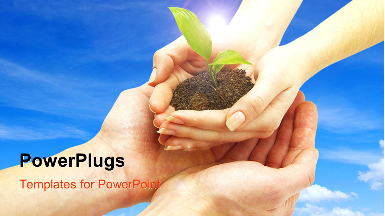 Hands from Sky Dropping Plant Sprouting from Earth on Man's Hand