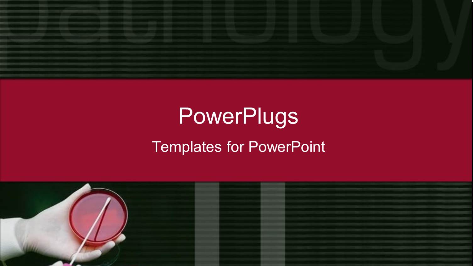 Hands in White Rubber Gloves Doing Pathology Test in Black Background