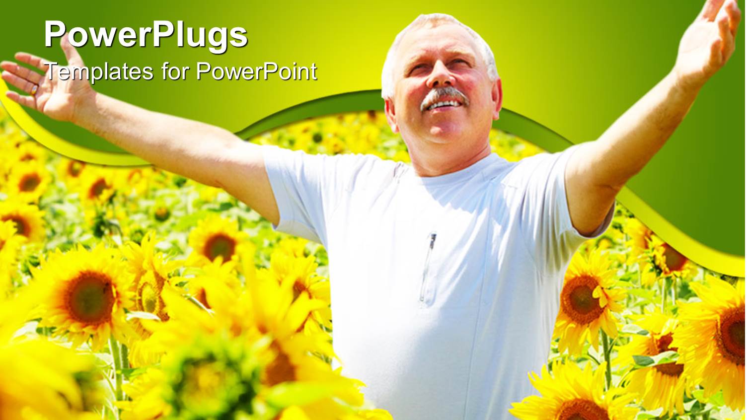 a Happy Old Man Rejoicing in the Middle of Sunflower Plants