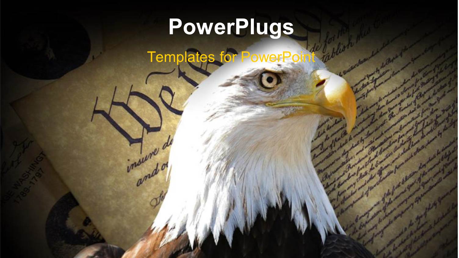 a Hawk with the American Constitution in the Background