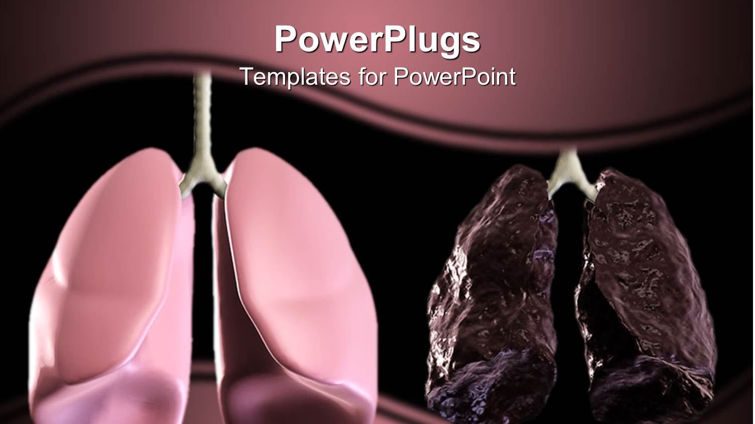 Healthy and Bad Lungs Displayed in Shades of Purple