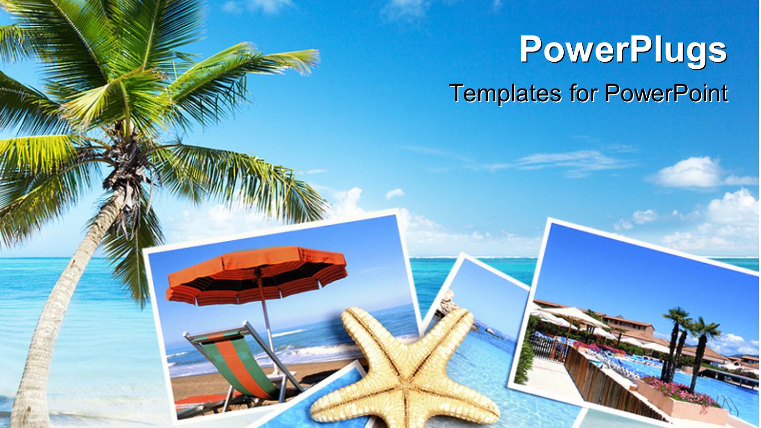 Holiday Destinations with Palm Trees  and Beaches