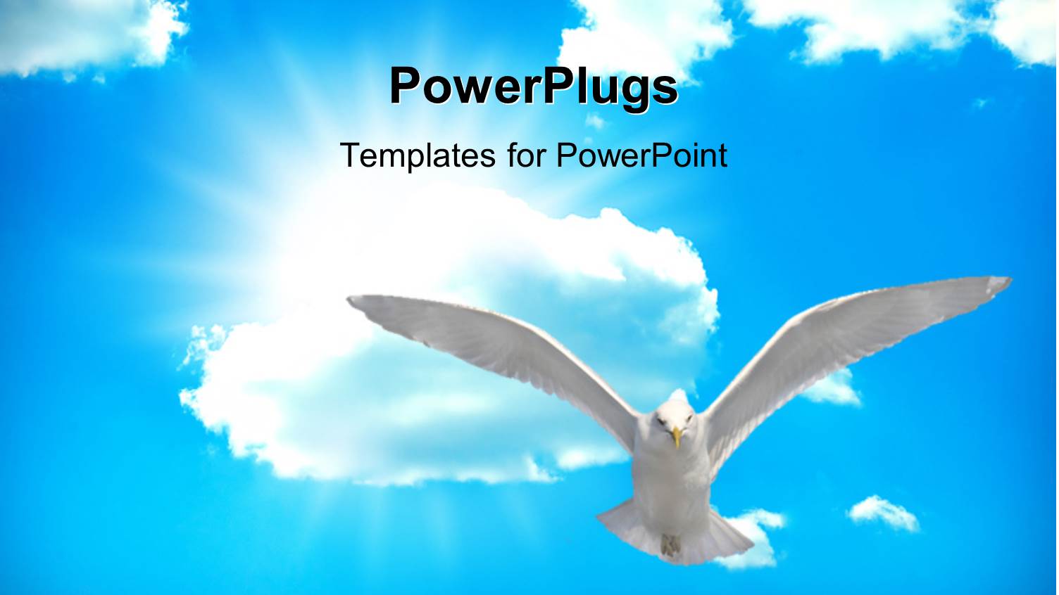 Holy Spirit Bird on Royal Blue Starburst Color