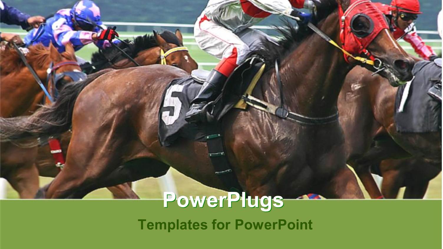 Horse Race with Jockeys on Horses, Racing, Competition