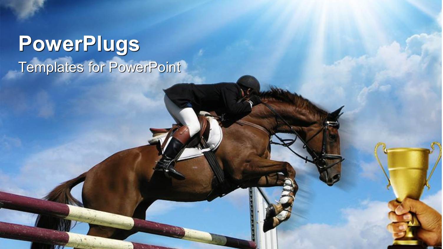 the Horse Riding Race and the Winning Cup