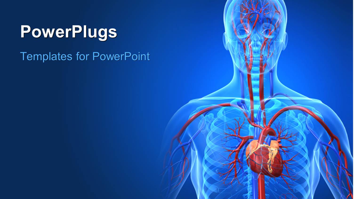 a Human Anatomy with Bluish Background