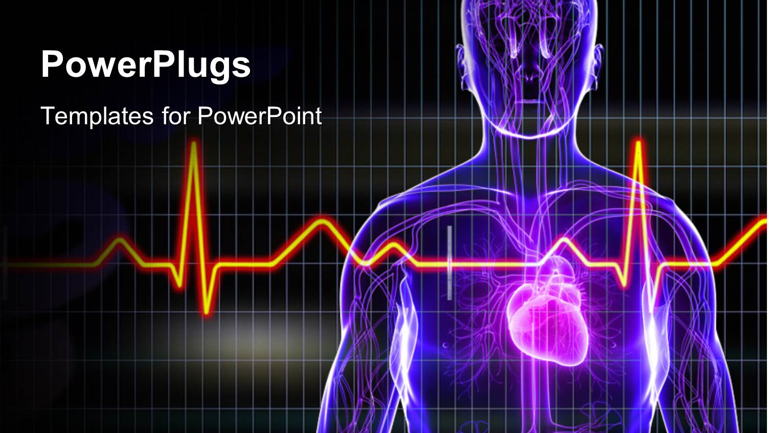 Human Anatomy with Heart and ECG Rays in Foreground