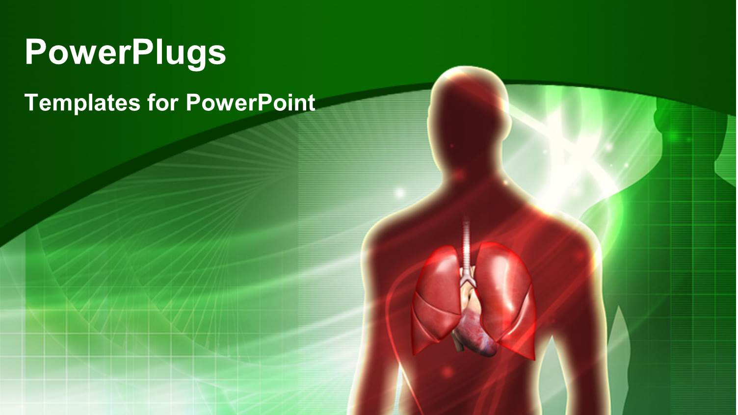 Human Anatomy with Lungs Over Green Background