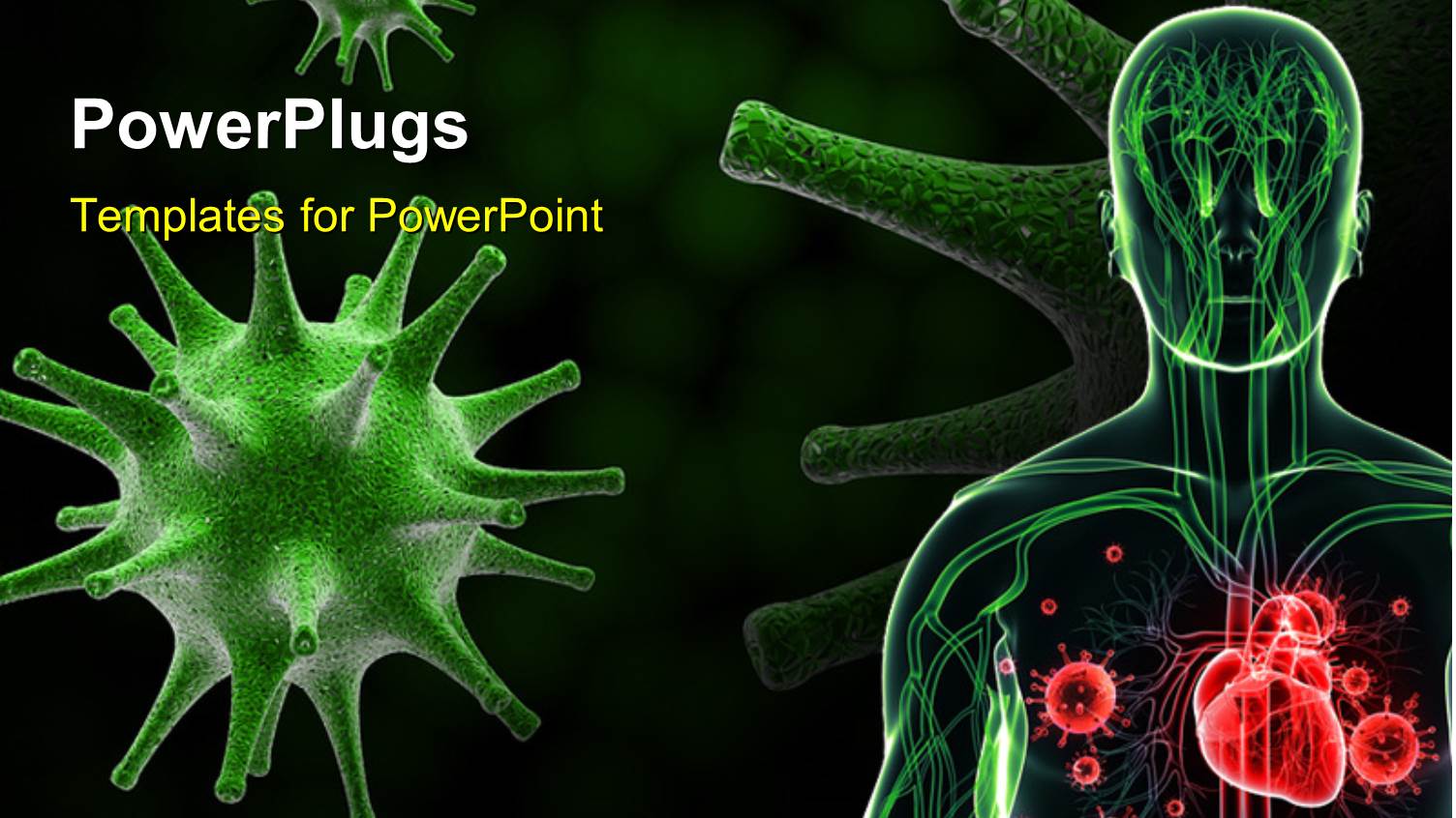 a Human Anatomy with Various Germs