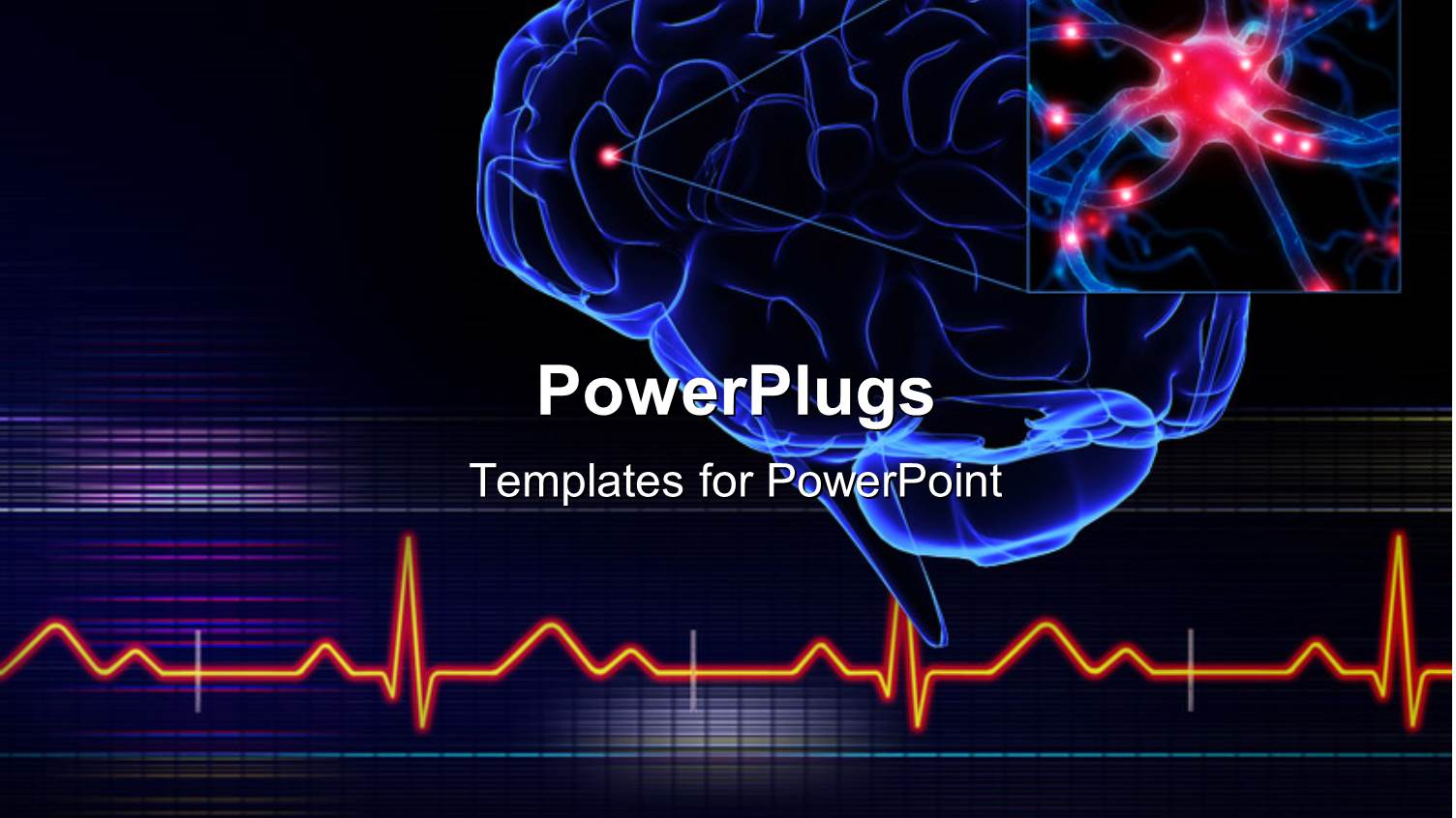 Human Brain with a Highlighted small Part of the Brain and ECG Waves