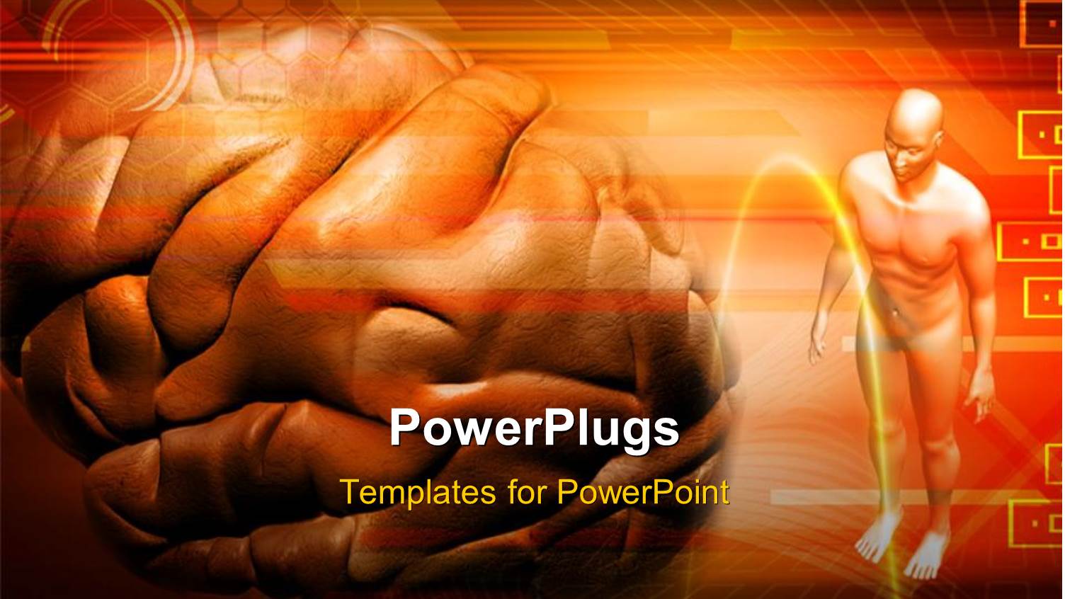 Human Brain and Human Body Over Colored Background