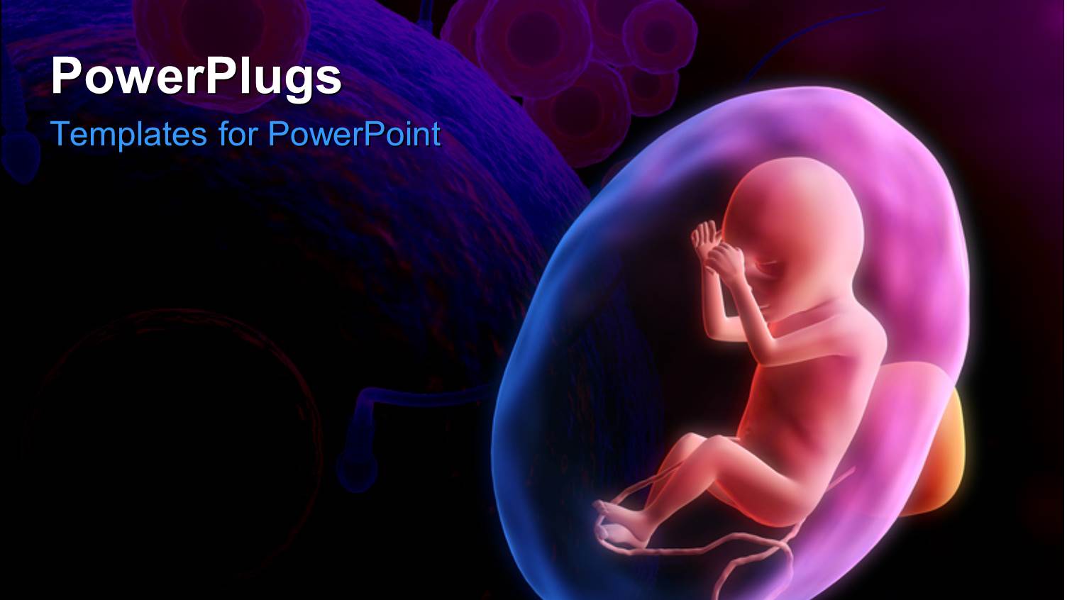 a Human Fetus with Eggs and Sperm