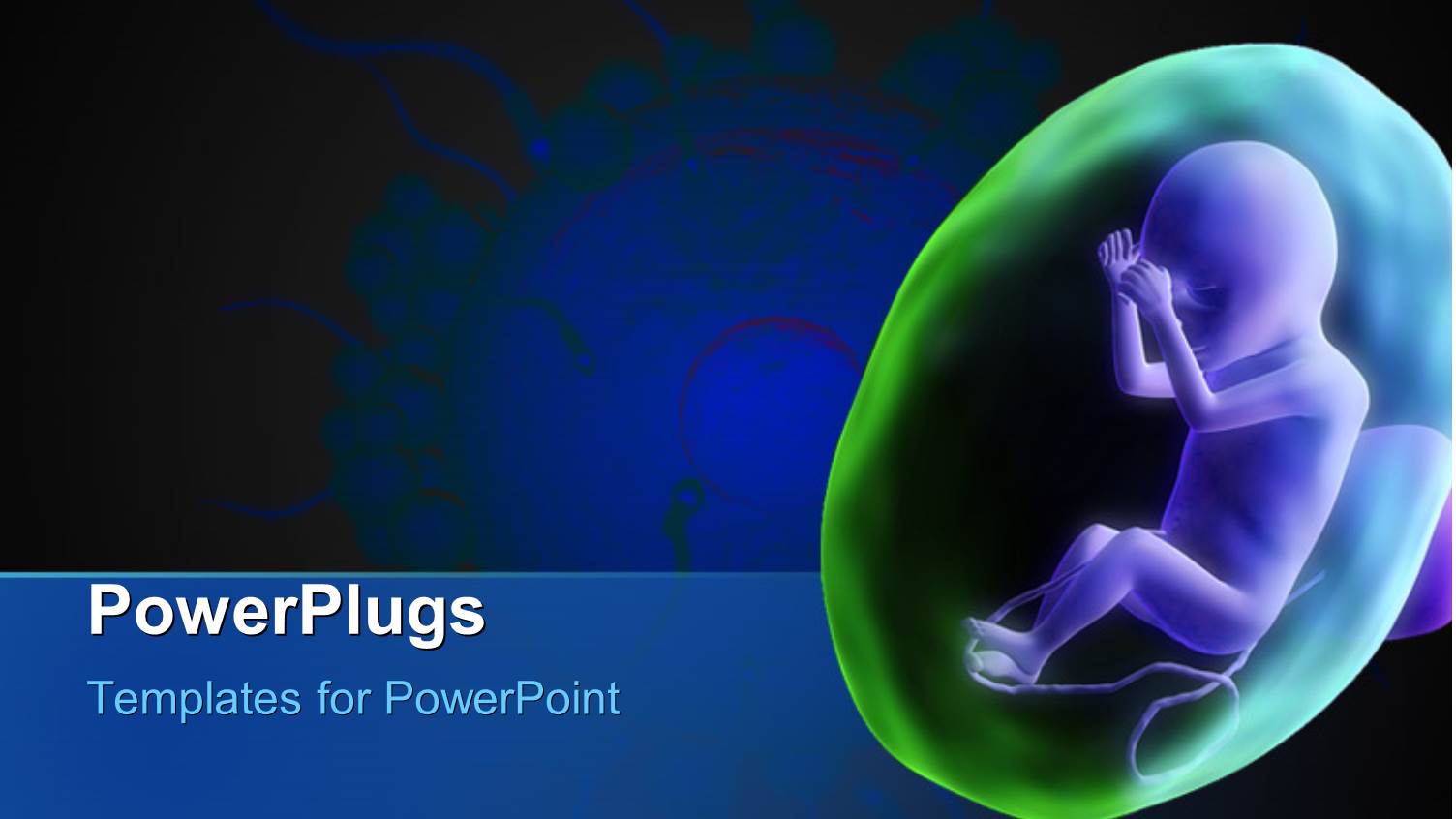 Human Fetus with Sperms Around the Egg Cell