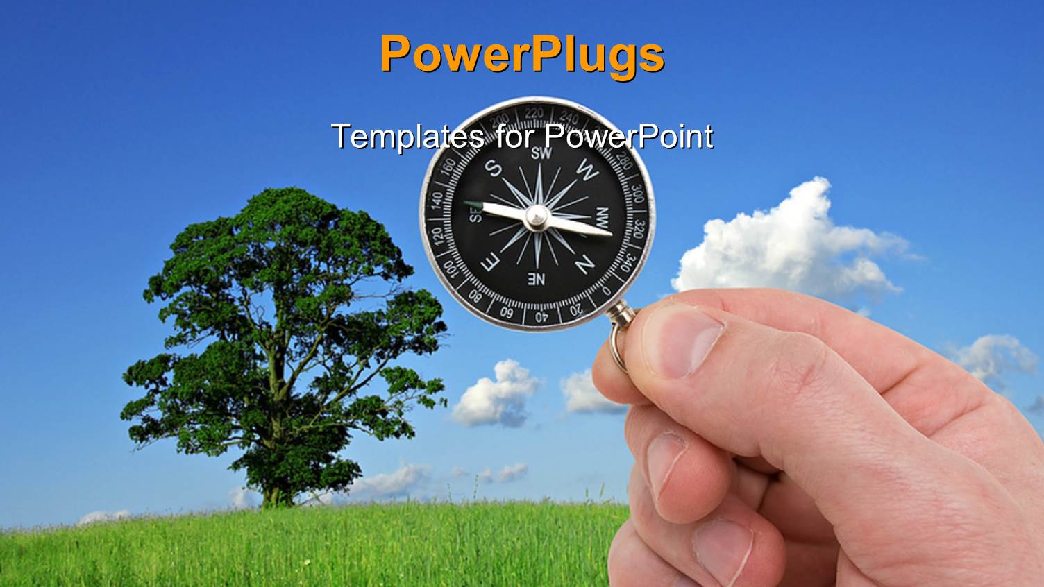 a Tree with Compass and Clouds in the Background