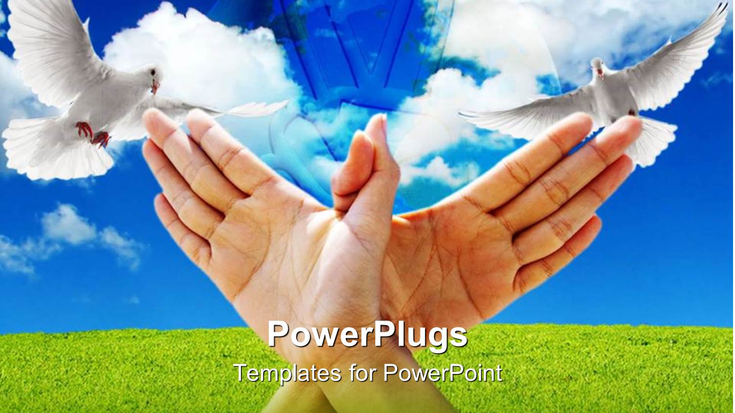 Human Hands Forming a Dove with Two Doves on the Background