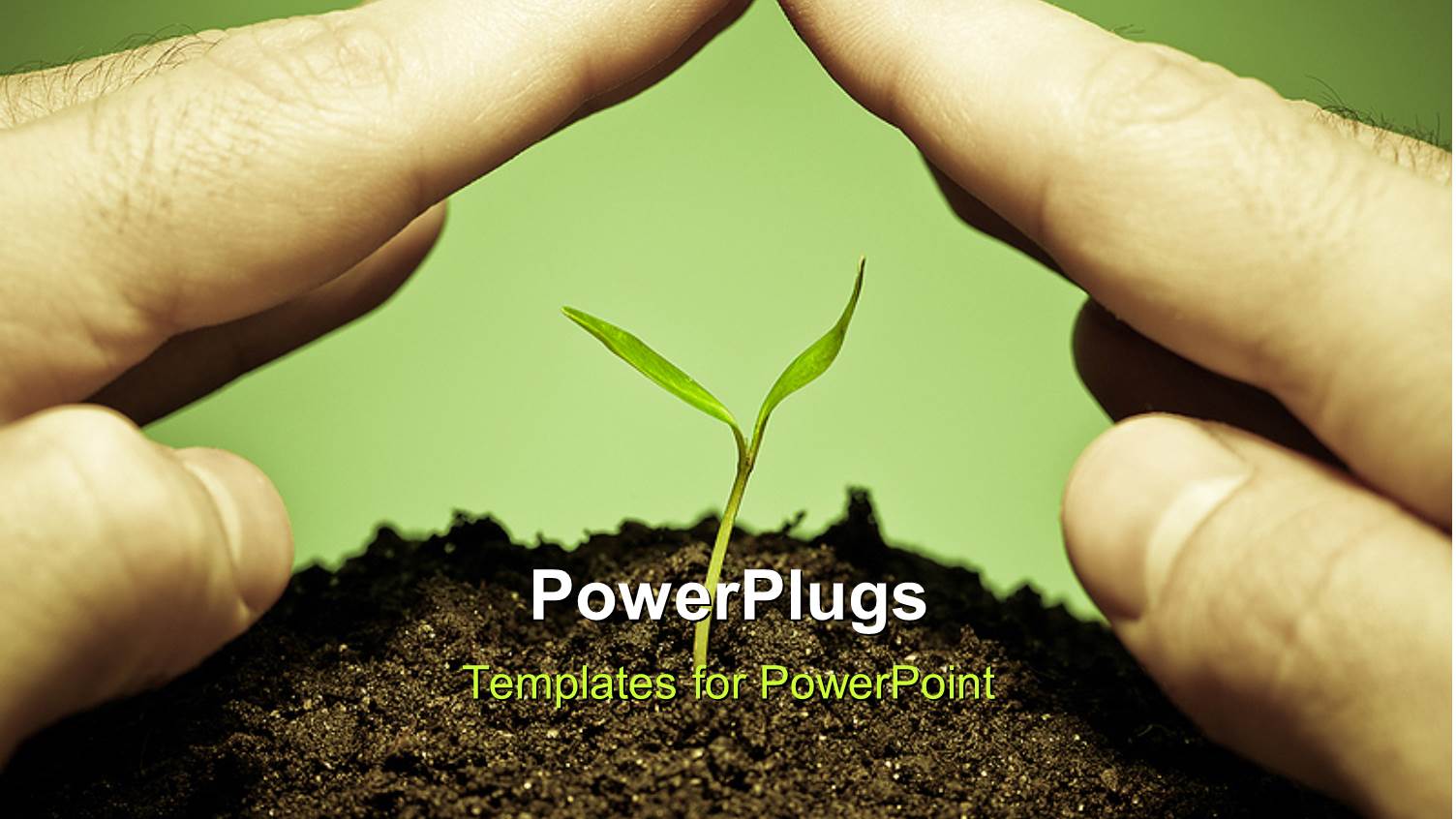 Human Hands Protecting a New Green Seedling with Green Color