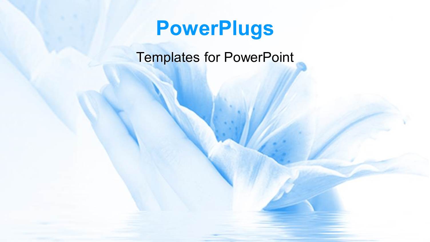 Human Hands from a River Holding a White and Blue Flower