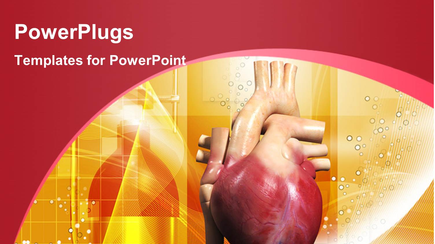 Human Heart in Color Background