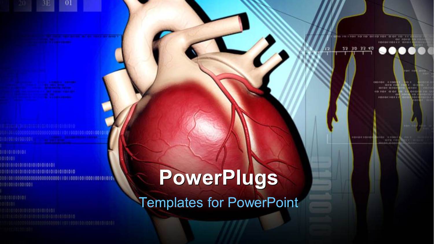 a Human Heart with a Human Diagram Beside it
