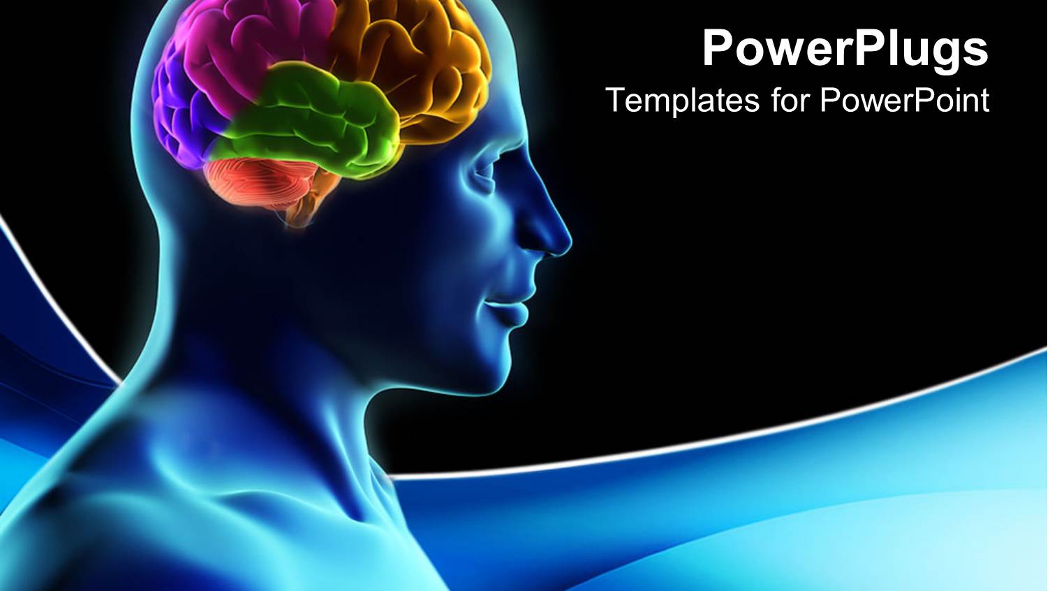 Human Silhouette with Parts of the Brain in Color on Blue Wave and Black Background