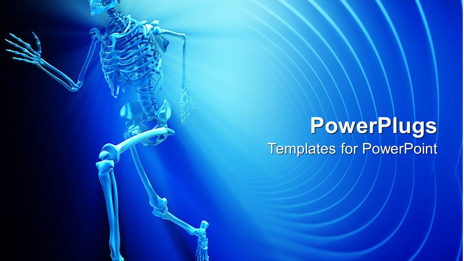 a Human Skeletal System on a Blue Colored Background