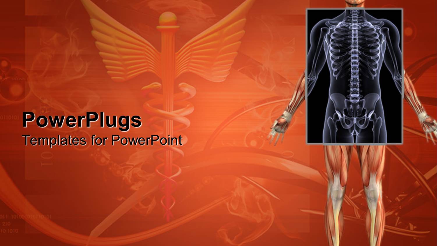 a Human Skeletal System with the Medical Symbol as a Bckground