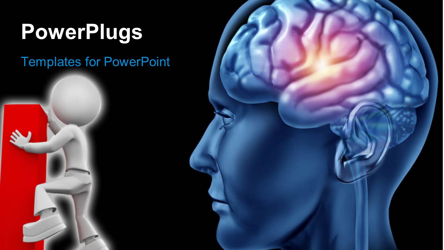 the Inner View of a Human Head with a Figure in Front