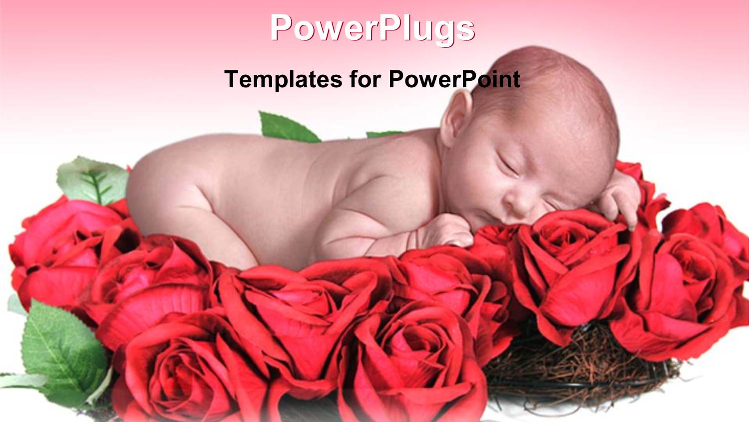 Innocent Looking Baby Sleeping on Lots of Red Roses