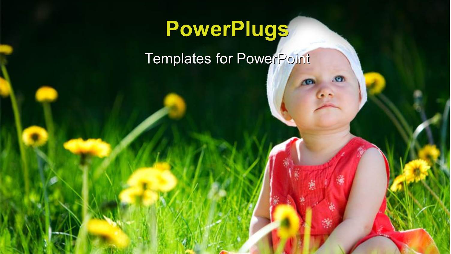 a Kid in the Field with a Lot of Flowers