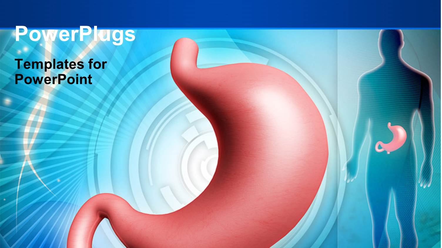 Kidney in Pink Color with Human Body Over Blue Background