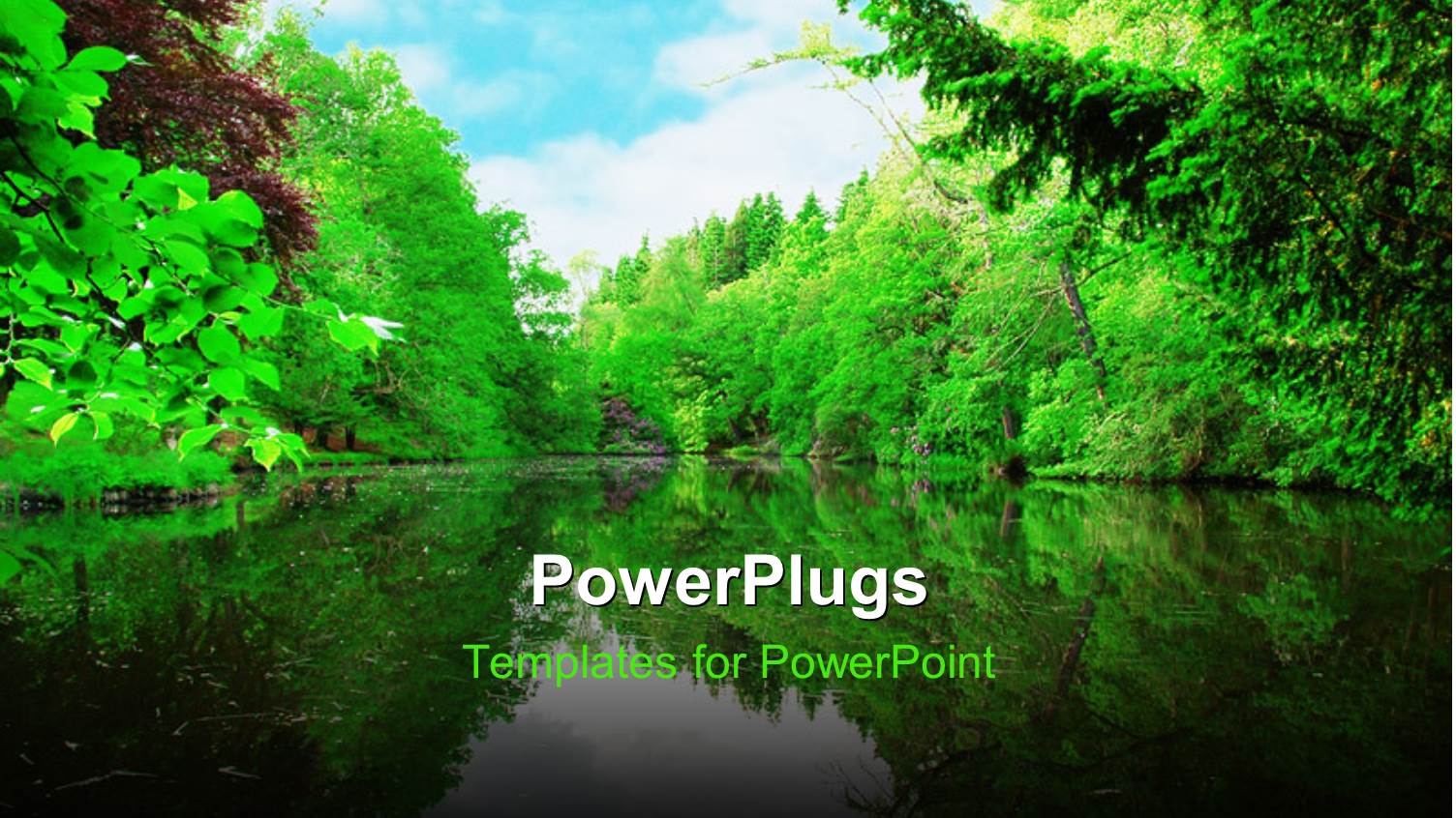 a Lake and a Number of Trees on its Sides