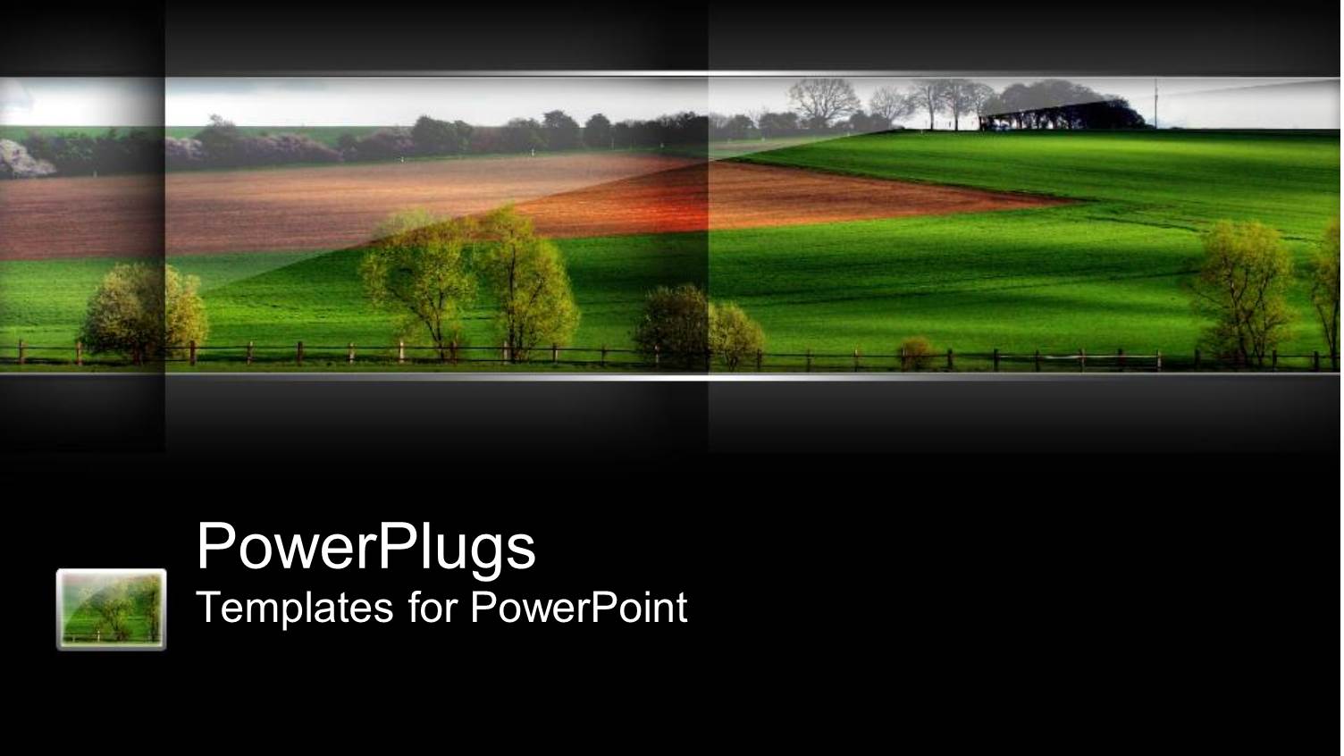 a Landscape View of a Plain Field with Trees