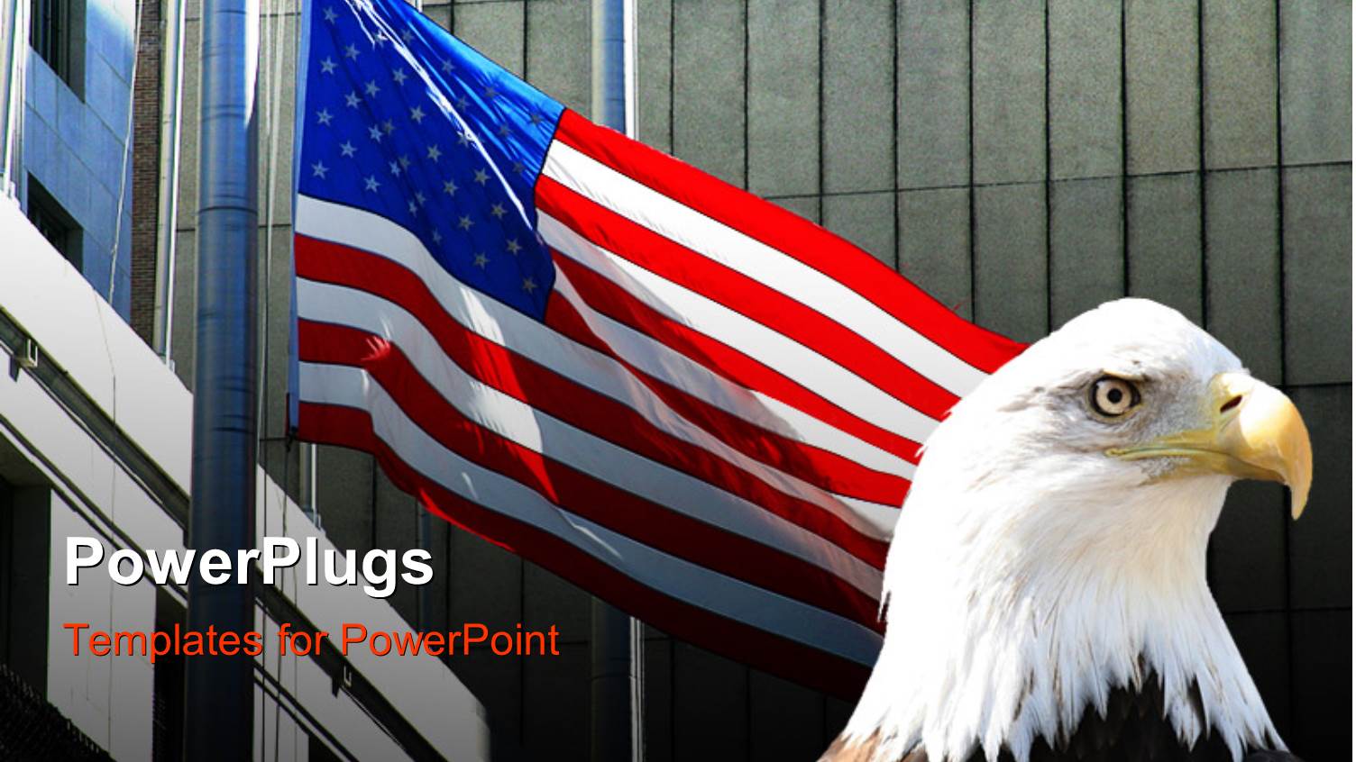 a large Black and White Eagle Beside a large Usa Flag