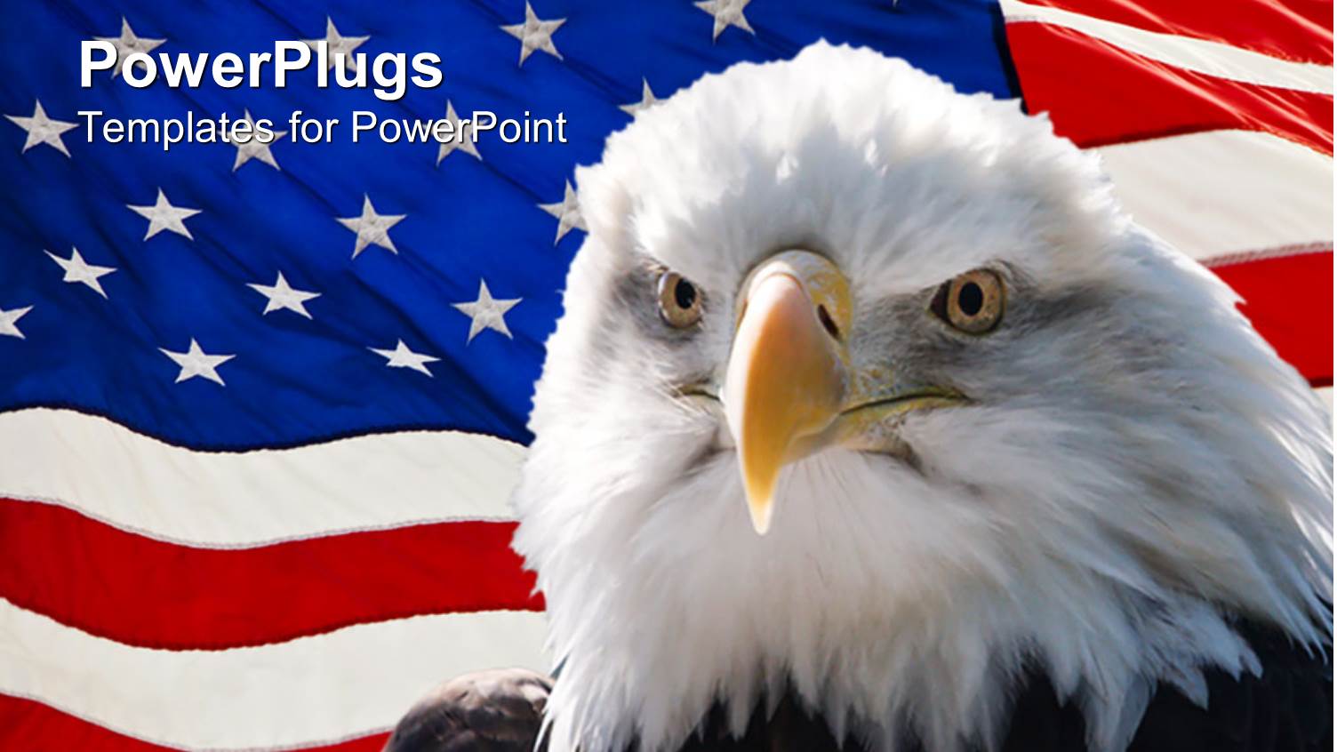 large Black and White  Eagle with a USA Flag Background