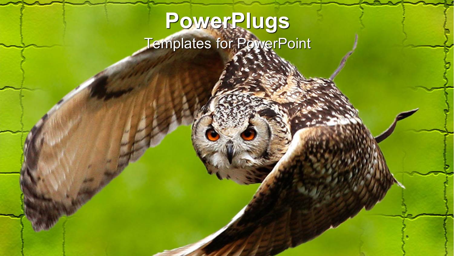 large Brown Owl Flying off Green Brick Wall