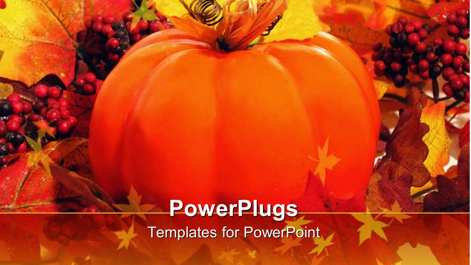 a large Orange Colored Pumpkin and Lots of small Red Berries