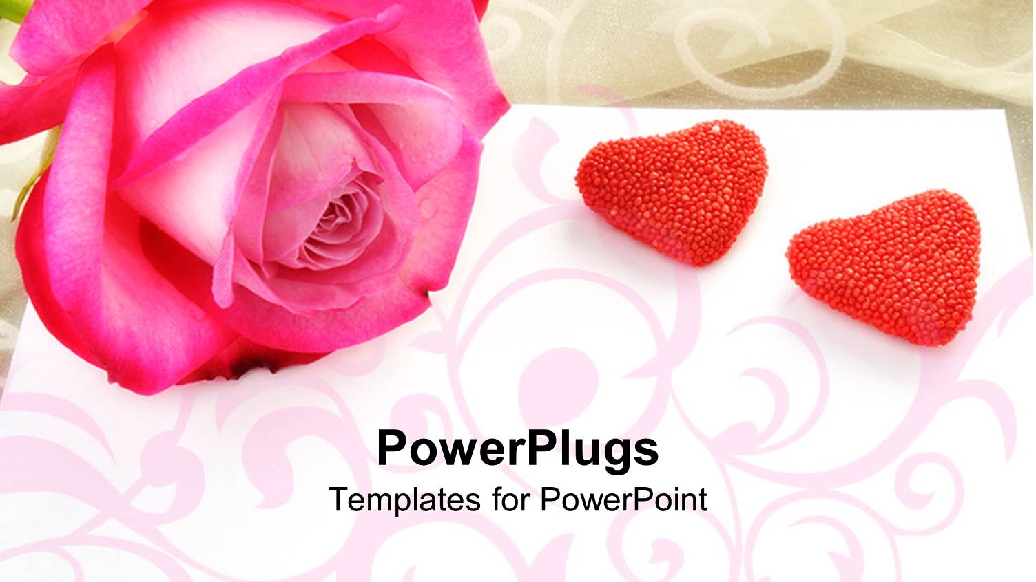 large Pink Rose with Two Heart Shaped Stones Beside