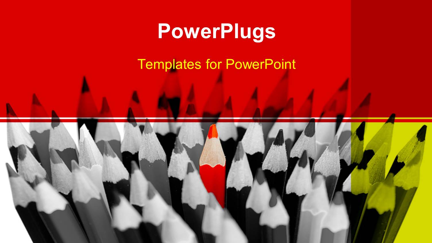 Black and White View of a Bunch of Color Pencils