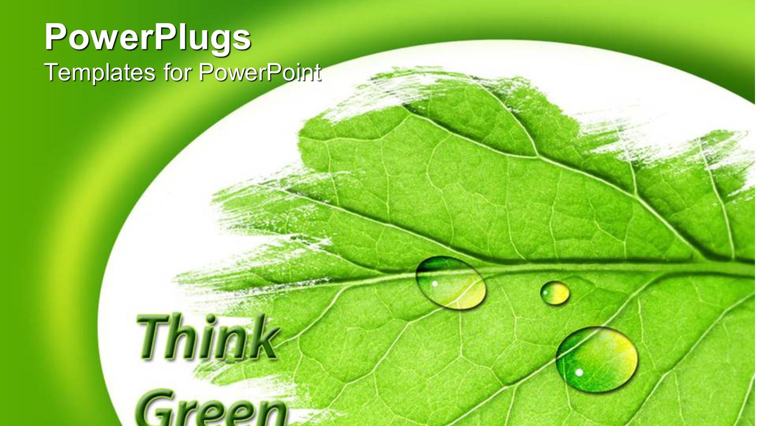 Leaf Depiction with Water Drops on the Leaf on White and Green Background