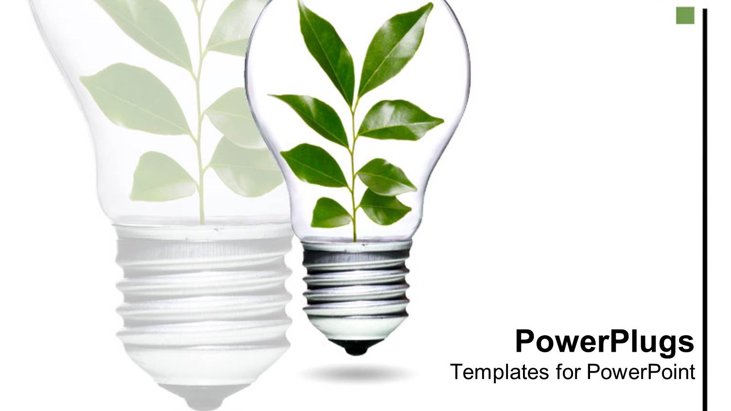 Light Bulb with Plant and Green Leaves Growing and Living as a Metaphor of Environment Over Technology on a White