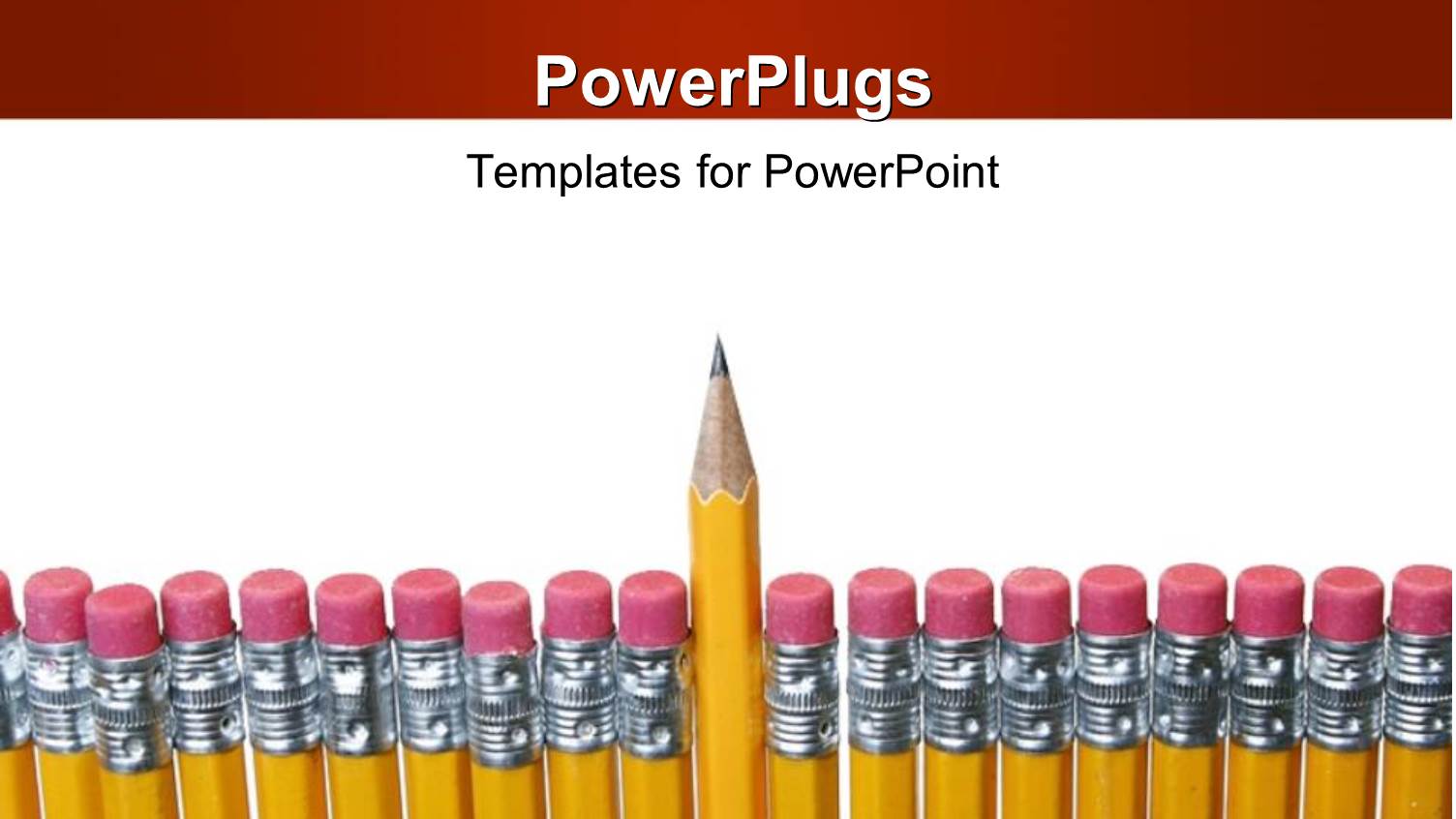 a Line of Arranged Yellow Pencils on a White Background